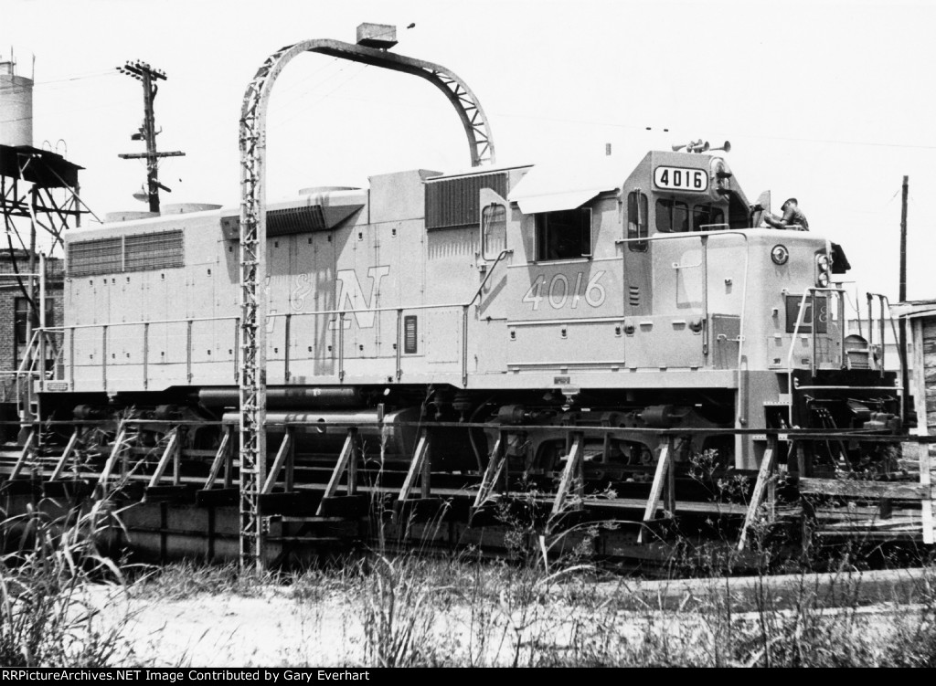 LN Gp38 #4016